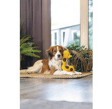Hond läit mat Spillsaachen-Giraff op engem Teppech