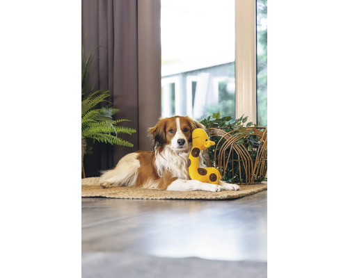 Hond läit mat Spillsaachen-Giraff op engem Teppech