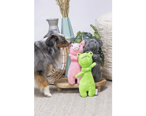 Szene mit Hund und Stofftieren: Frosch, Schwein und Koala auf einem Holztisch.