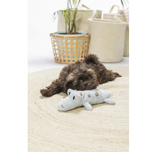 Ein brauner Welpe ruht auf einem runden Teppich neben einem Krokodil-Spielzeug, umgeben von dekorativen Körben und einer Pflanze.