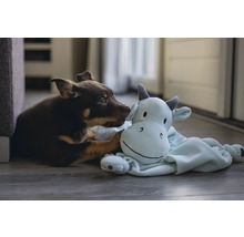 Un chiot interagit avec une peluche.