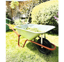Brouette avec déchets de jardin dans le jardin
