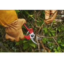 Gartenarbeit mit einer Gartenschere und Gartenhandschuhen