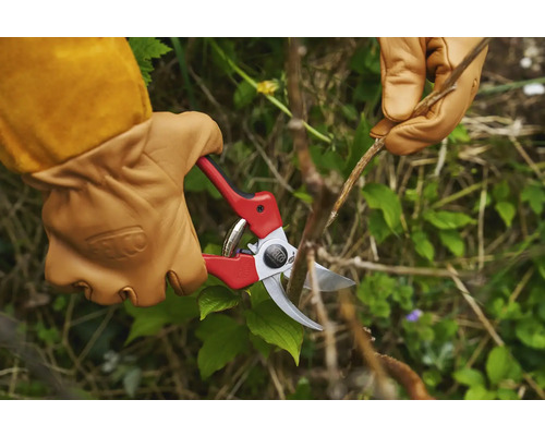 Gartenarbeit mit einer Gartenschere und Gartenhandschuhen