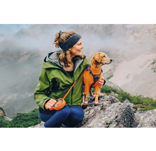 Femme avec chien sur une montagne, le chien porte une combinaison et des chaussures