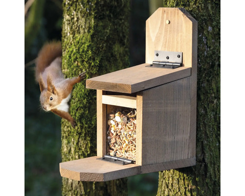 Holzfutterhaus für Eichhörnchen mit Futter und einem Eichhörnchen an einem Baum