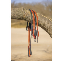 Plusieurs laisses pour chiens sont suspendues à un tronc d'arbre.