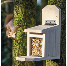 Holz-Futterhaus für Eichhörnchen mit Futter und Eichhörnchen an einem Baum