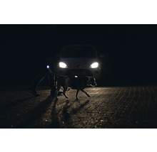 Chien avec lumière de sécurité et propriétaire de nuit