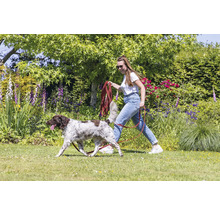 Femme promène un chien en laisse dans le jardin