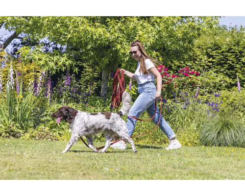 Femme promène un chien en laisse dans le jardin