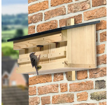 Nichoir en bois sur un mur de briques avec un oiseau assis devant et un autre à l'intérieur.