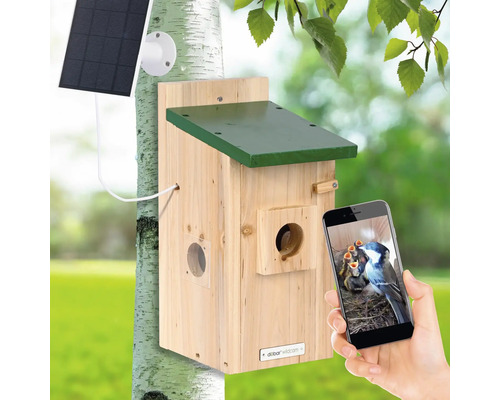 Vogelhaus mit Solarpanel und Smartphone-Ansicht der Vogelfamilie