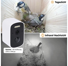 Vogelbeobachtungskamera mit Tageslicht- und Infrarot-Nachtsichtfunktion