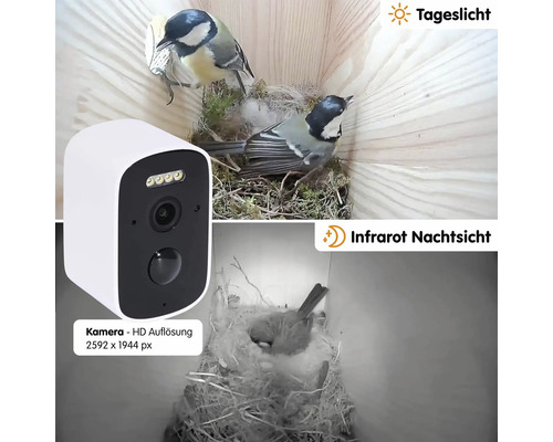 Vogelbeobachtungskamera mit Tageslicht- und Infrarot-Nachtsichtfunktion