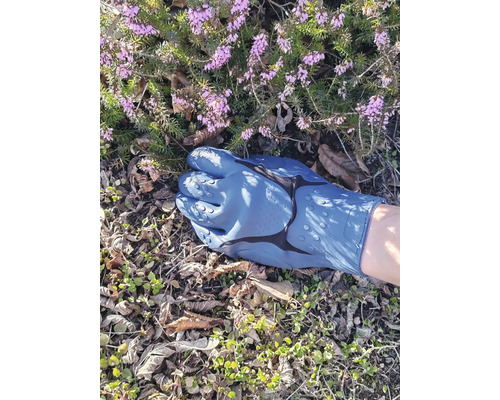 Ein Gartenhandschuh liegt auf dem Boden neben blühenden Pflanzen.