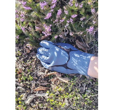 Gartenhandschuh für Gartenarbeit im Beet