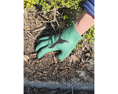 Grüner Gartenhandschuh im Einsatz bei der Gartenarbeit