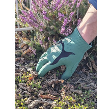 Gartenarbeitshandschuh bei der Gartenarbeit mit Heidekraut im Hintergrund