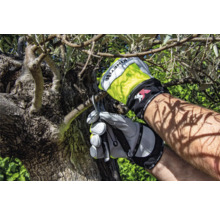 Person mit Gartenhandschuhen schneidet einen Baum mit einer Gartenschere