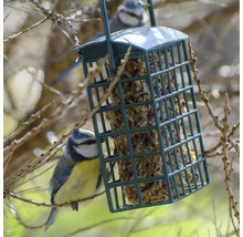 Vogelhaus mit Meisen beim Fressen