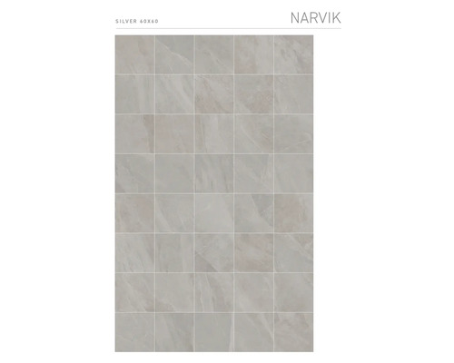 Motif de carreaux Narvik argent 60x60