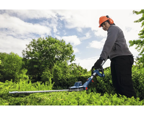 Une personne portant un casque de protection et un casque antibruit coupe une haie avec un taille-haie.