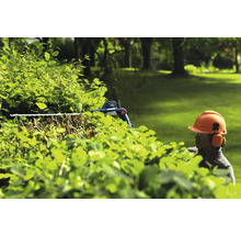 Une personne portant un équipement de sécurité taille une haie avec un taille-haie.