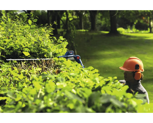 Une personne portant un équipement de sécurité taille une haie avec un taille-haie.