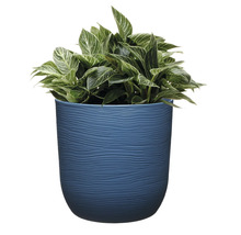 Pflanze in einem strukturierten Übertopf