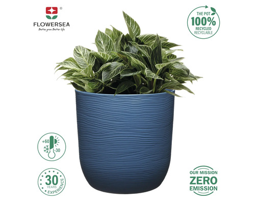 "Blumentopf mit Pflanze