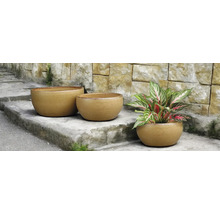 Trois pots de fleurs ronds sur un escalier en pierre, dont un avec une plante