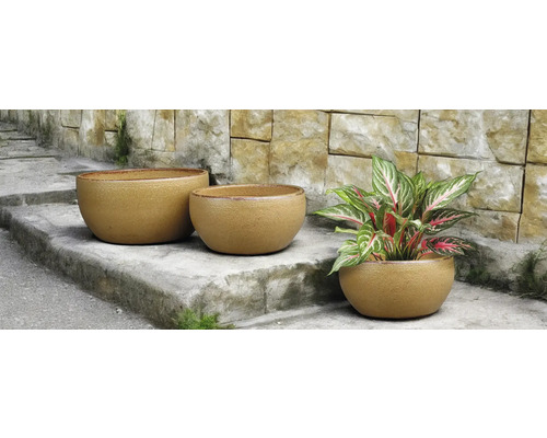 Trois pots de fleurs ronds sur un escalier en pierre, dont un avec une plante