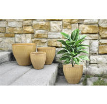 Arrangement de quatre jardinières sur un escalier en pierre avec une plante dans l'un des récipients.