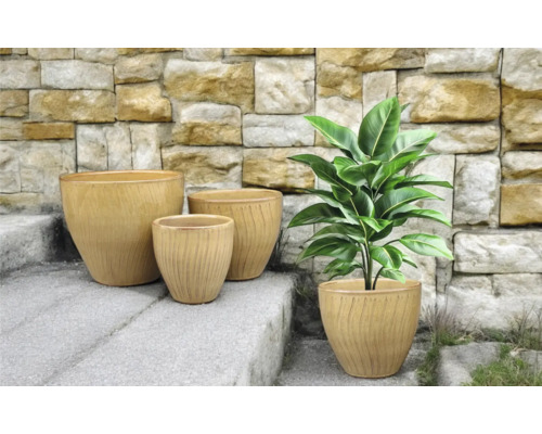 Arrangement de quatre jardinières sur un escalier en pierre avec une plante dans l'un des récipients.