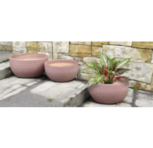 Drei runde Pflanzgefäße aus Steingut unterschiedlicher Größe mit Pflanze