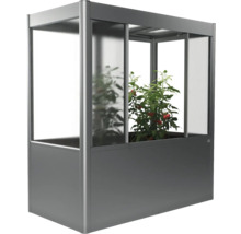 Hochbeet mit Gewächshausaufsatz und Tomatenpflanze