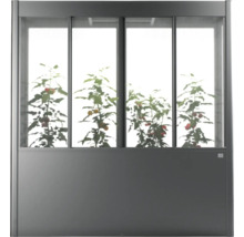 Gewächshaus mit Pflanzen