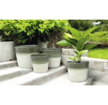 Verschieden grosse Pflanzgefässe auf einer Treppe im Aussenbereich.