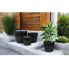 Dekorative Pflanzgefäße in verschiedenen Größen auf einer Treppe