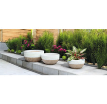 Szene mit drei Pflanzgefäßen und Pflanzen im Garten