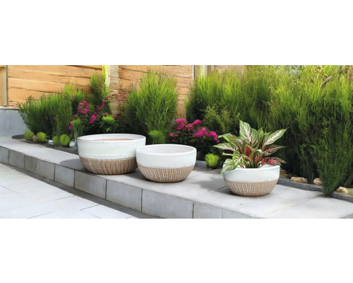 Szene mit drei Pflanzgefäßen und Pflanzen im Garten