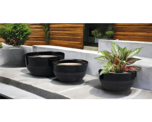 Drei schwarze Pflanzgefäße unterschiedlicher Größe auf einer Steinstufe mit Pflanzen