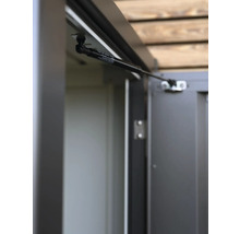 Vue détaillée d'une porte avec ressort à gaz pour une remise de jardin