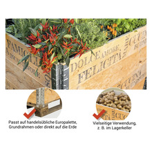 Hochbeet aus Holz mit Kräutern und Gemüsepflanzen