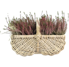 Bruyère dans un panier en osier