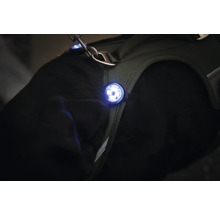 Harnais pour chien avec lumière LED pour une meilleure visibilité