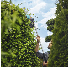 Une personne taille une haie avec un taille-haie télescopique sans fil.