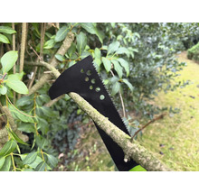 Multifunktionswerkzeug sägt einen Ast im Garten