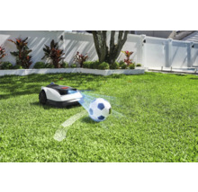 Rasenmähroboter auf Rasen mit Fußball